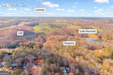 0316 Arrowhead Dr unit 316, Lavonia, GA 30553 - photo 4