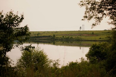 Bluffton Rd, Fort Gaines, GA 39851 - photo 7