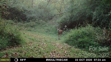 743 Cove Rd, Gastonia, NC 28052 - photo 6