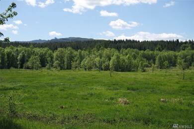 18333 Bald Hill Rd SE, Yelm, WA 98597 - photo 3