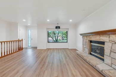 32-web-or-mls-DSC08510