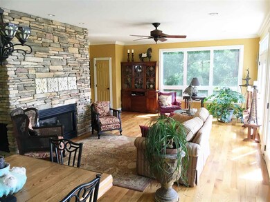 103 Dickson Cove Rd, Campobello, SC 29322 - photo 3