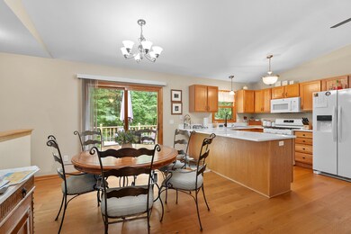 Cassidy Rd 12206 Bellevue 49021-7
