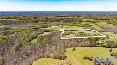 7204 Jernigan Hollow Rd, Athens, AL 35614 - photo 5