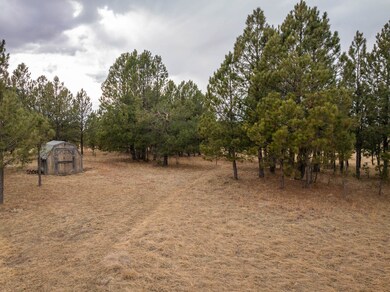 TBD Sundance Dr unit Tract 46: Lone Elk S, West Custer Township, SD 57747 - photo 3
