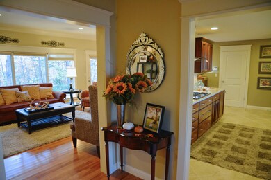 Decorator Colors used throughout
