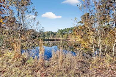 166 Cooper Pond Rd, Salley, SC 29137 - photo 3