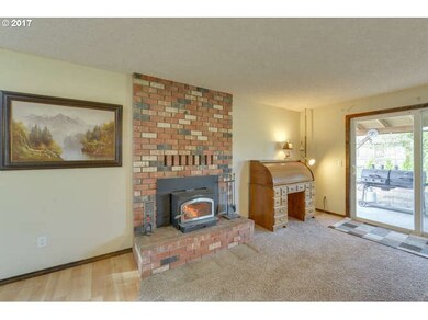 Fireplace Wood Burning Stove/Insert