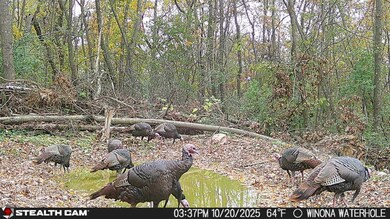 TBD57 E Burns Valley Rd, Winona, MN 55987 - photo 4