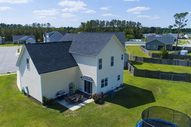 Aerial of Back