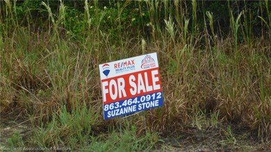 362 Jack Weisser Blvd, Lake Placid, FL 33852 - photo 2