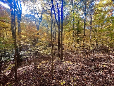 00 Nc 8801, Jasper, AR 72704 - photo 6