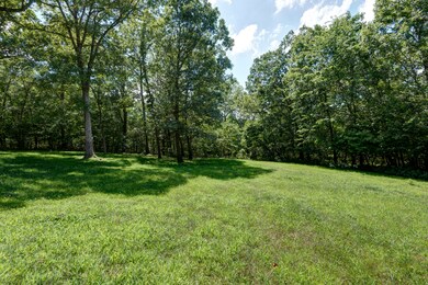 160 Canyon Forest Cir, Kimberling City, MO 65686 - photo 5