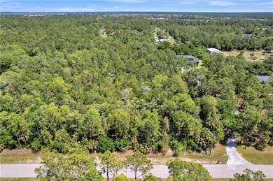 2760 Wilson Blvd N, Rural Estates, FL 34120 - photo 3