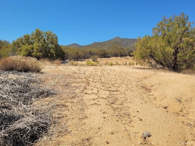 0 S Terwilliger Rd unit SW25167201, Anza, CA 92539 - photo 7