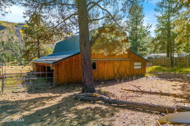 58 1120, Greer, AZ 85927 - photo 6