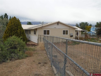 20469 Vista Grande Dr, Austin, CO 81410 - photo 5