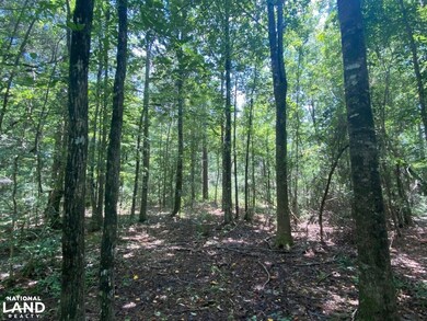 0 Co Rd 10, Samson, AL 36477 - photo 7