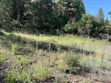 599 Pineview Rd, Pagosa Springs, CO 81147 - photo 5