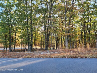 HF3 430 Big Spring Rd, East Union Township, PA 18202 - photo 2