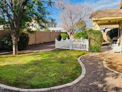 backyard2