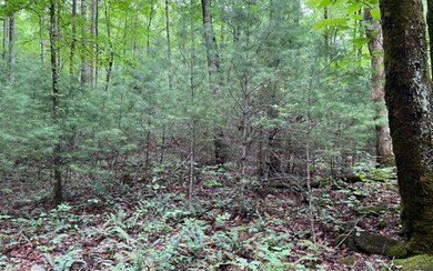 Additional View