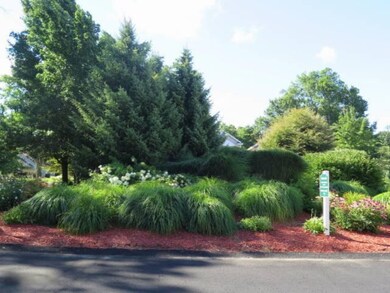 817 Bluff Creek (2)