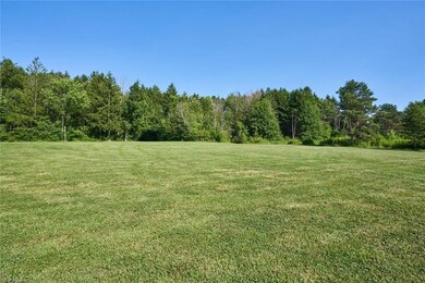 Nearly 2 acres of lawn space at the back of the lo