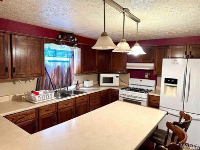 414 E Monroe Ave, Farina, IL 62838 - photo 7