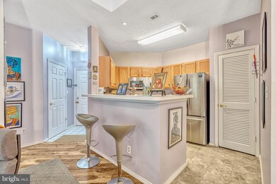 13089 Autumn Woods Way unit 202, Fairfax, VA 22033 - photo 7
