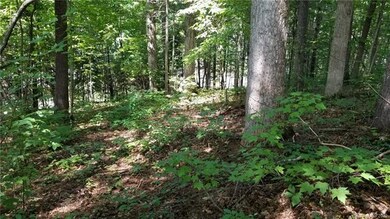 Gentle grade, little underbrush