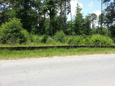 Lot 14,15 Honea Egypt Rd, Magnolia, TX 77354 - photo 2