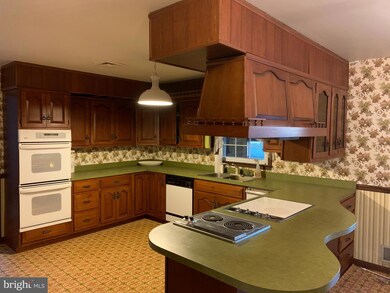 5287 Pond Mountain Rd, Broad Run, VA 20137 - photo 3