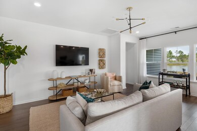 271 Tuscan Sun St, Ridgeville, SC 29472 - photo 4