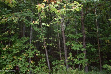 DSC_1821