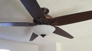 Gorgeous Fans