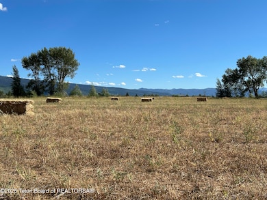 1313 Whitetail Dr, Driggs, ID 83422 - photo 4