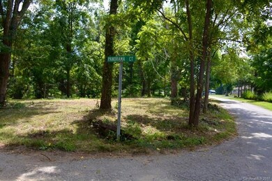 9999 Panorama Dr, Asheville, NC 28806 - photo 3