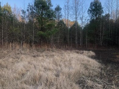 0 Tommy McGough Rd, Nauvoo, AL 35578 - photo 7