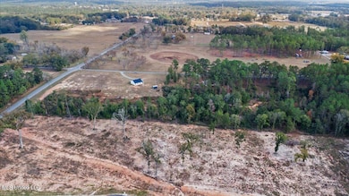 Nsn Brashier Ln, Lucedale, MS 39452 - photo 4