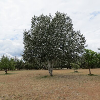1107 W Saddle Rd, Paulden, AZ 86334 - photo 7