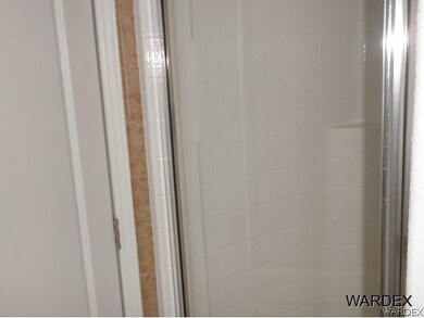 Master Bath Shower