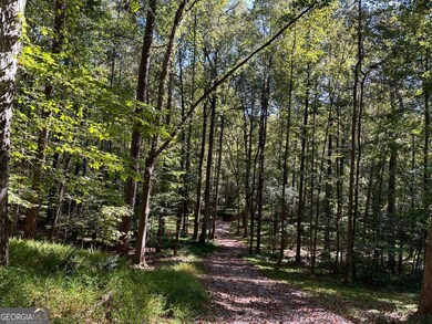 15665 Rowe Rd, Alpharetta, GA 30004 - photo 2