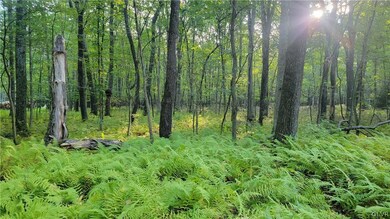 1000 Towamensing Rd, Towamensing Township, PA 18235 - photo 2