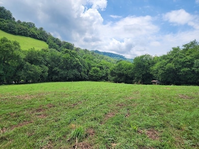 0 Granville Hwy unit RTC2975023, Granville, TN 38564 - photo 3