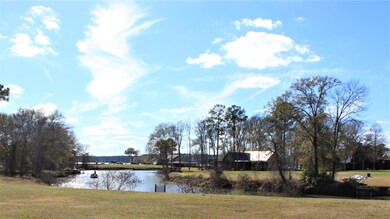 15 Peninsula Point, Huntsville, TX 77340 - photo 6