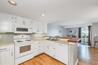 51 Mill St unit 6, Wolfeboro, NH 03894 - photo 6