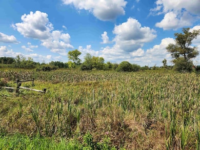 18 Ac Healy Rd, Springvale, WI 53923 - photo 7