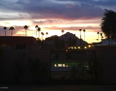 Pool View of Camelback