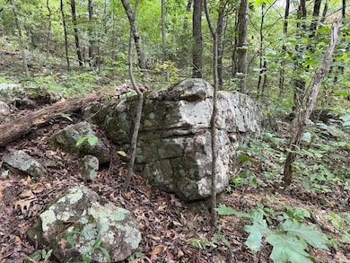 Tract 3/4 Terrapin Rd S, Harrison, AR 72601 - photo 3